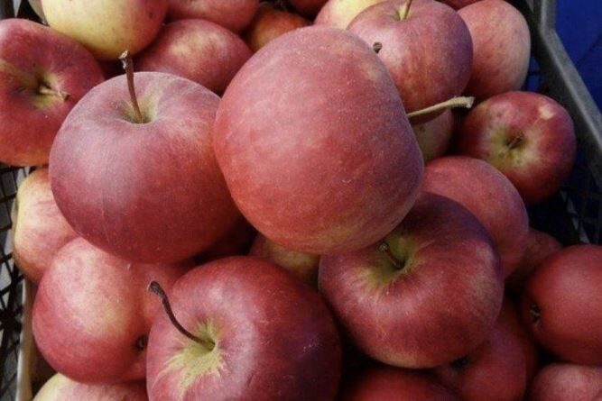 ��� ������� ������ ������ � ��������� �� �� �����