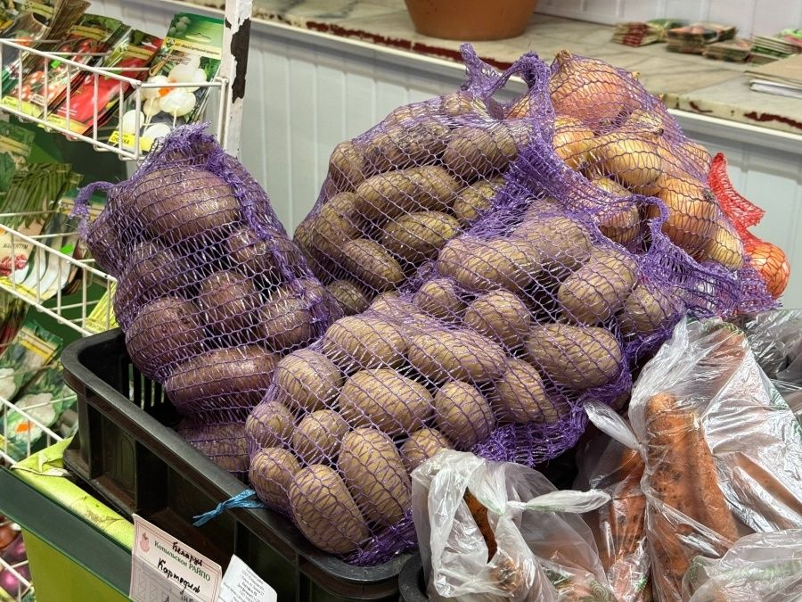 Как Беларусь обеспечивает себя овощами: результаты и прогнозы