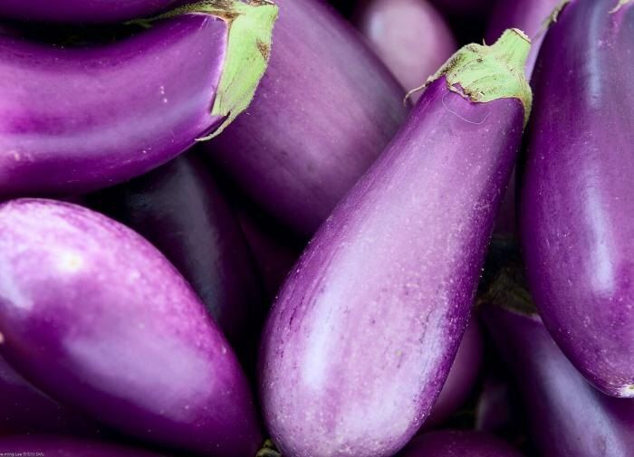 Как обеспечить быстрые всходы перцев и баклажанов: советы на сезон