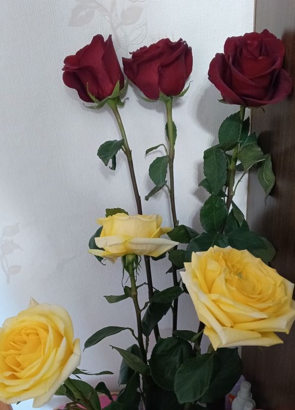 66: �������� � ��������� � ���� �������� ��������