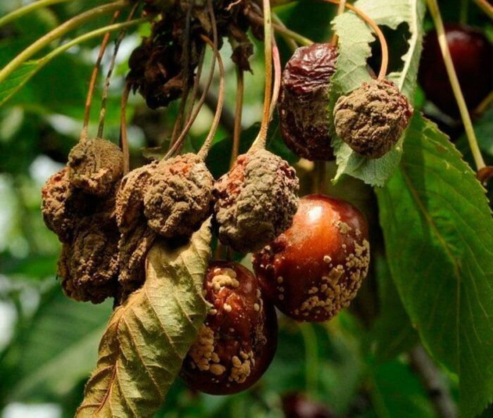 ��� �������� �������� ������� �� ���������: ������ � ������������