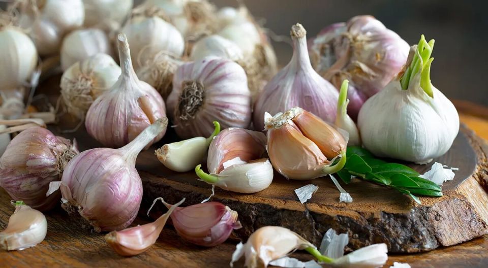 ������: ��� ��������� ����, ����� �������� �������� ������