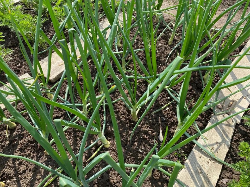 ��� ��������� ��� � �����: ������� ������� ��� �������� ������