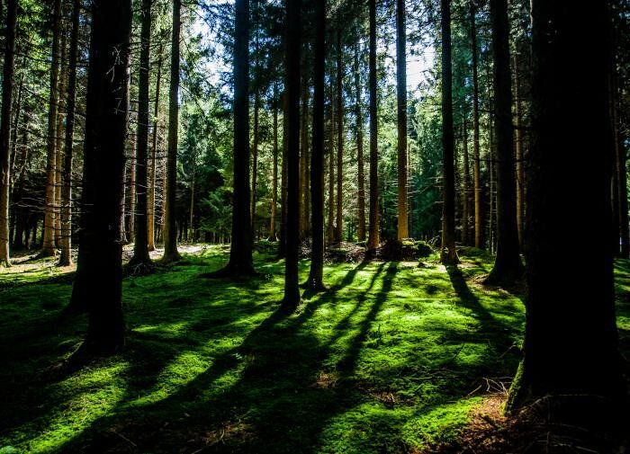 ������ ������: ��� �������� � ������ ����