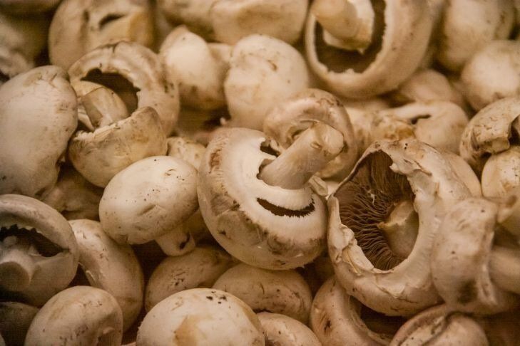 ��� �������, ����� ���������� �� ������� ��� �����: ����� ���� ������ ����