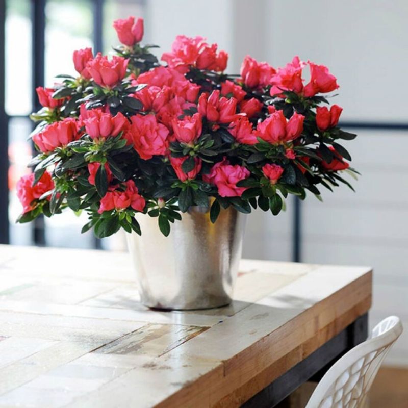 ������: ������ ����������� �� �����, ����������� � ������ � ��������� ��� ������ �������� � ����� ����!