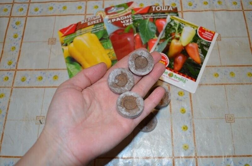 ��� ����� ������� � �������� ��������