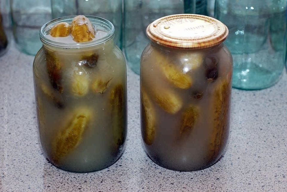 ��� ������, ���� ������ � ������ � �������� ��������: ������ �� �������� ���������