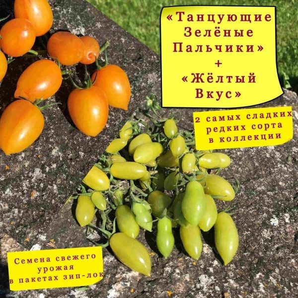 ����� ��������� ������� ��������: �������� � ���������� ������