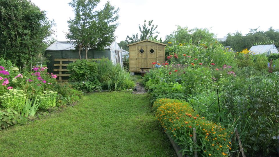 Как правильно обустроить новый участок для огорода