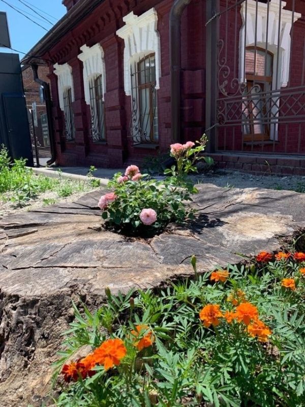 Почему бизнес игнорирует зелень вокруг?