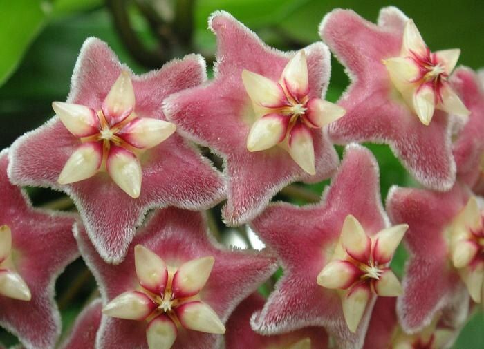 ��� ��������� �� �����, ����� ��� �������: ������������ �����������