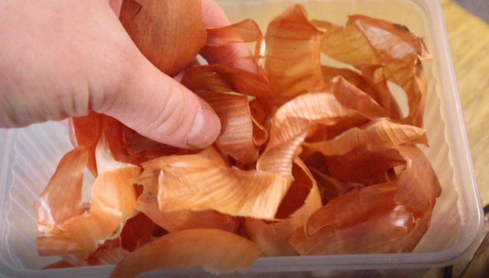 ���������� � �������: ������� ���������� ������