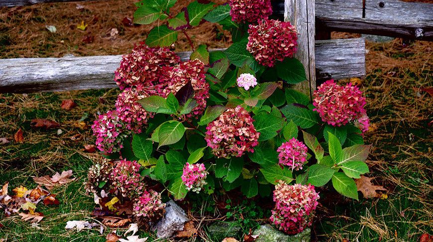 ���� �� ���������� � ��������: ������ �� ���������� � ����