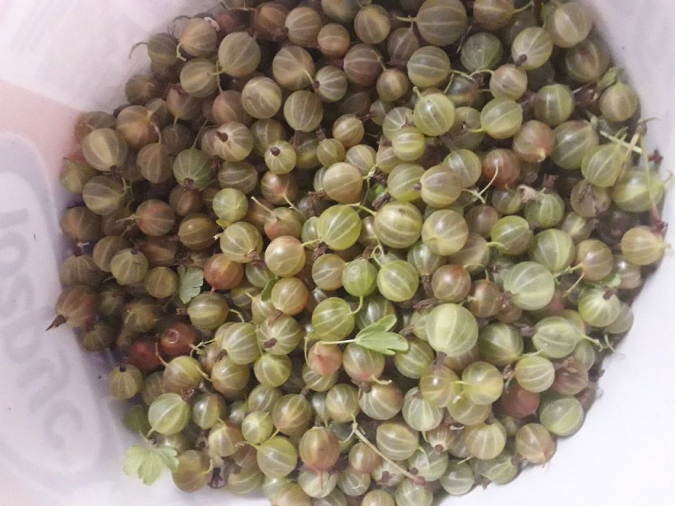 ���������� ������ �� ����������: ������, ������� ����������