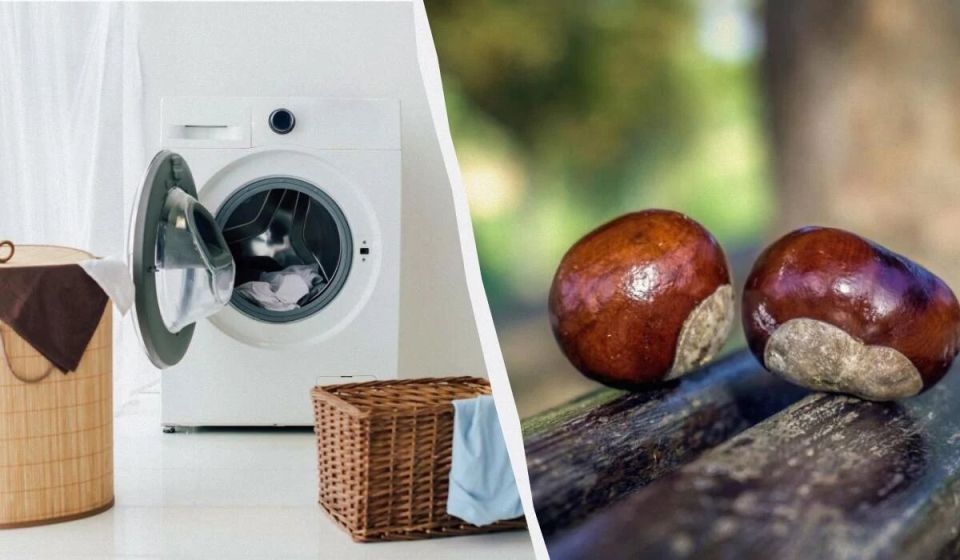 ��� ������� ����� �������� ��� ���������� �������