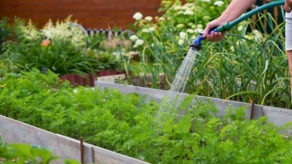 ��� ��������� �������� �������� � ����: ����������� ������