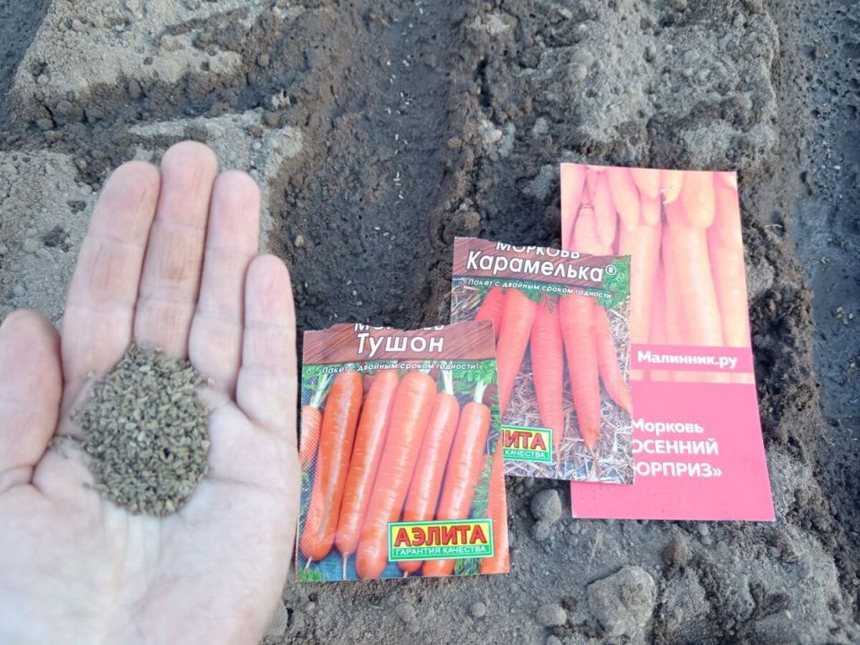 ���� �� ��������: ������ �� ����� ����� ������