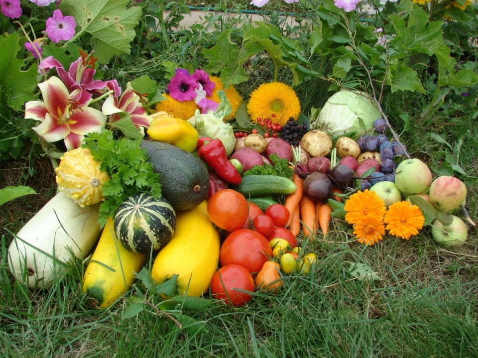 ������� ��������� ������: ��� ��������� ����� �������� ���� �����