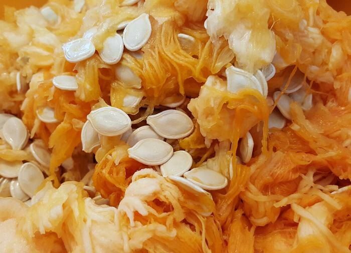 Как заготовить тыквенные семена для полезного употребления и успешного урожая